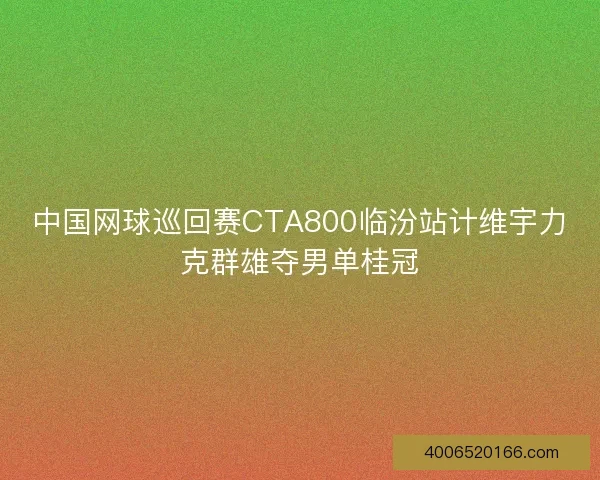 中国网球巡回赛CTA800临汾站计维宇力克群雄夺男单桂冠