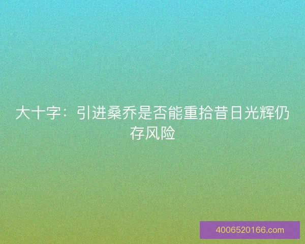 大十字:引进桑乔是否能重拾昔日光辉仍存风险 大十字:引进桑乔是否能重拾昔日光辉仍存风险